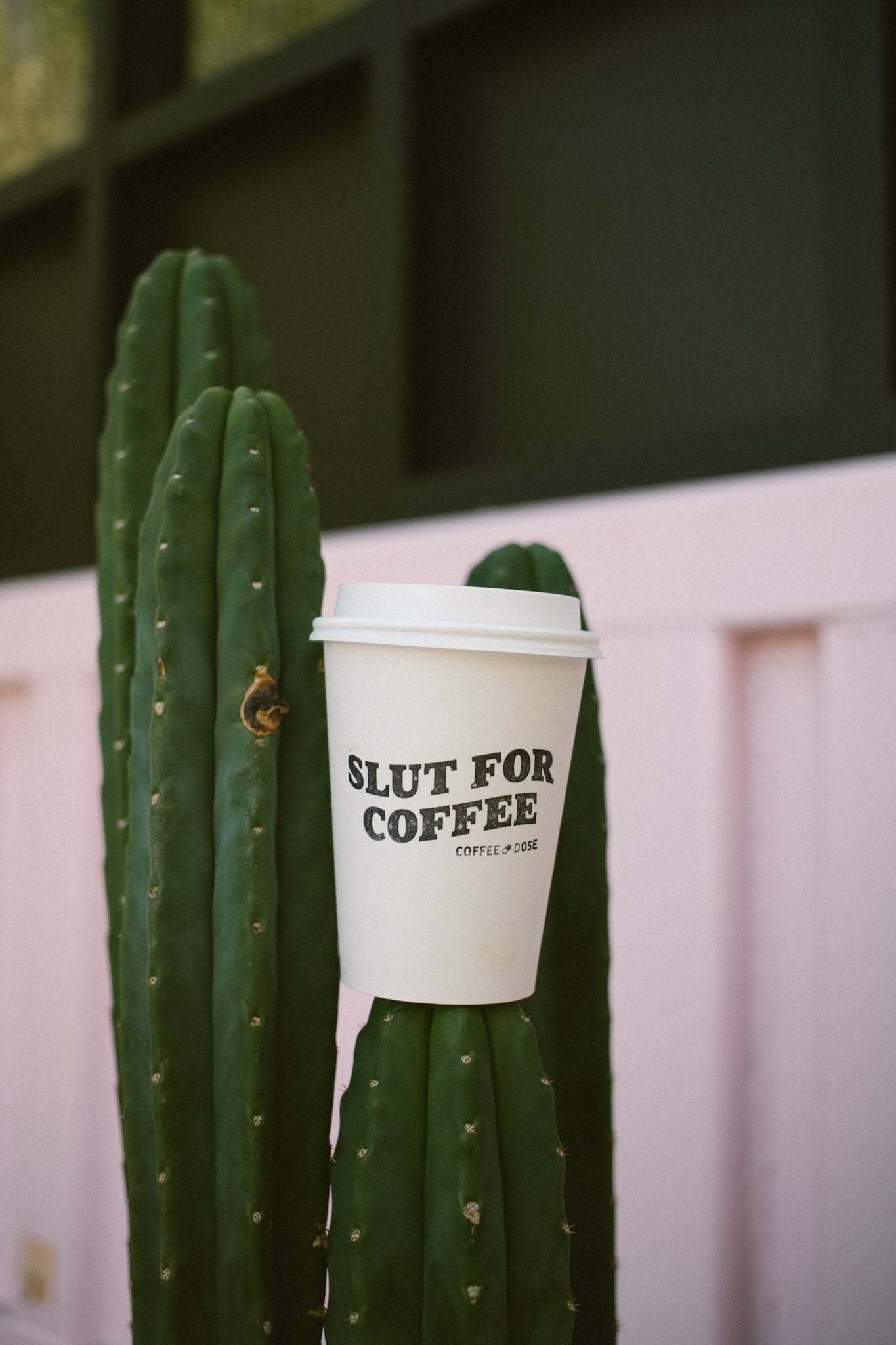Choose Your Party Pack of Cups (Hot) - Coffee Dose