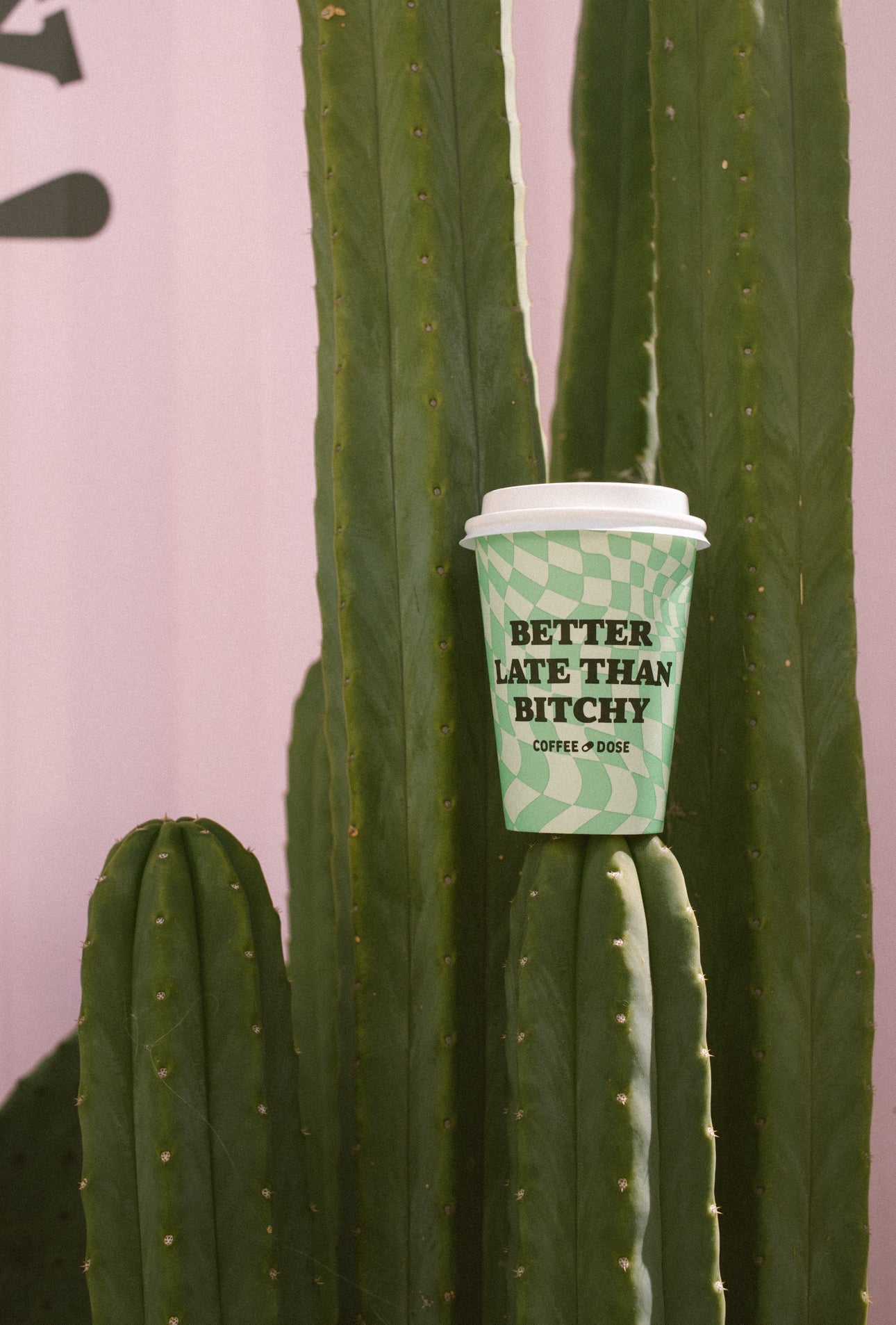 Choose Your Party Pack of Cups (Hot)